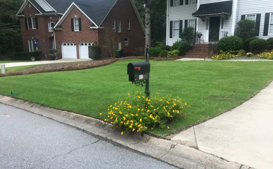 Light Green Landscaping