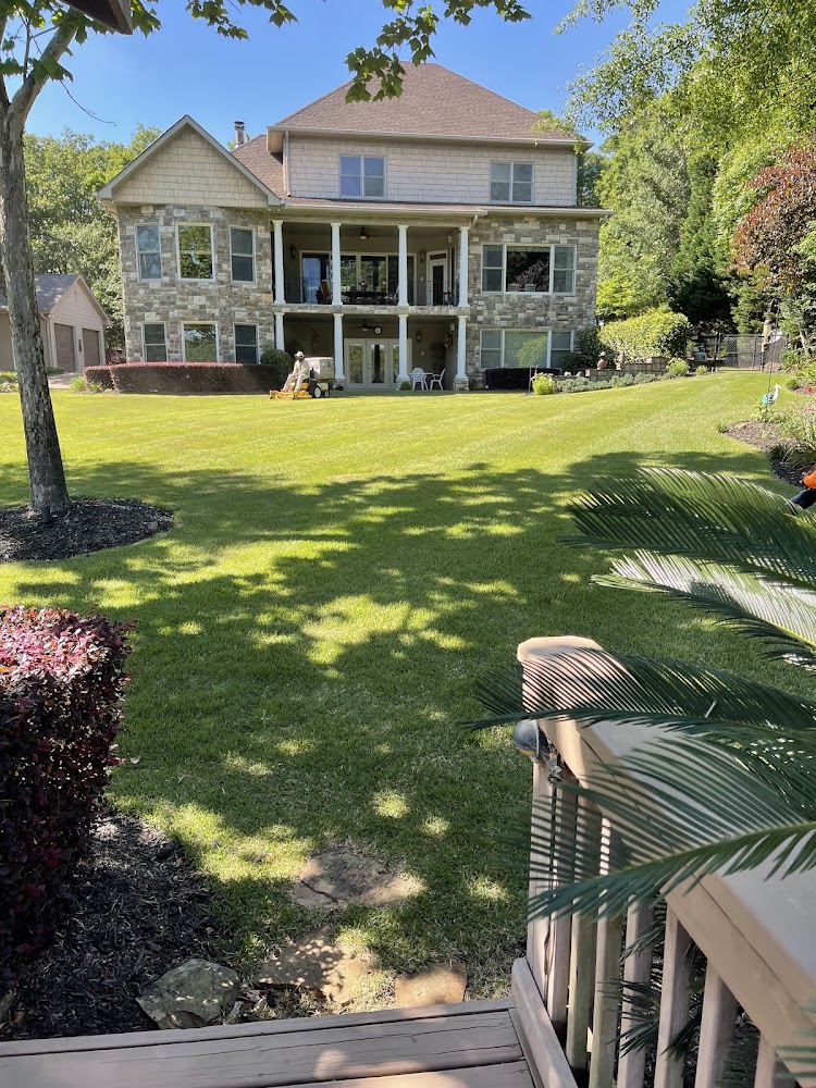 Palmetto Lawn and Landscape