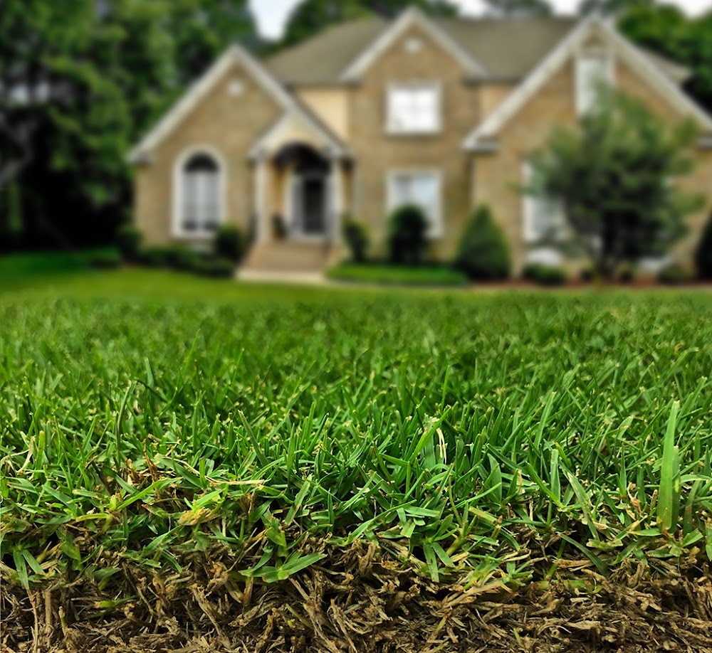 Love Home and Land Services