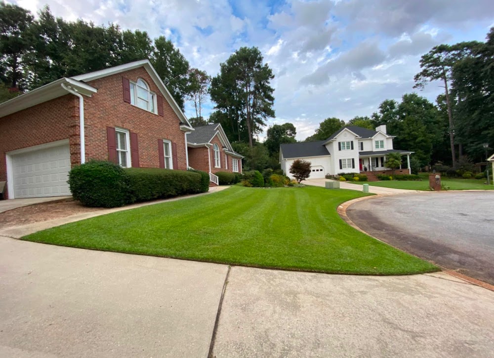 Aspen lawn and landscape
